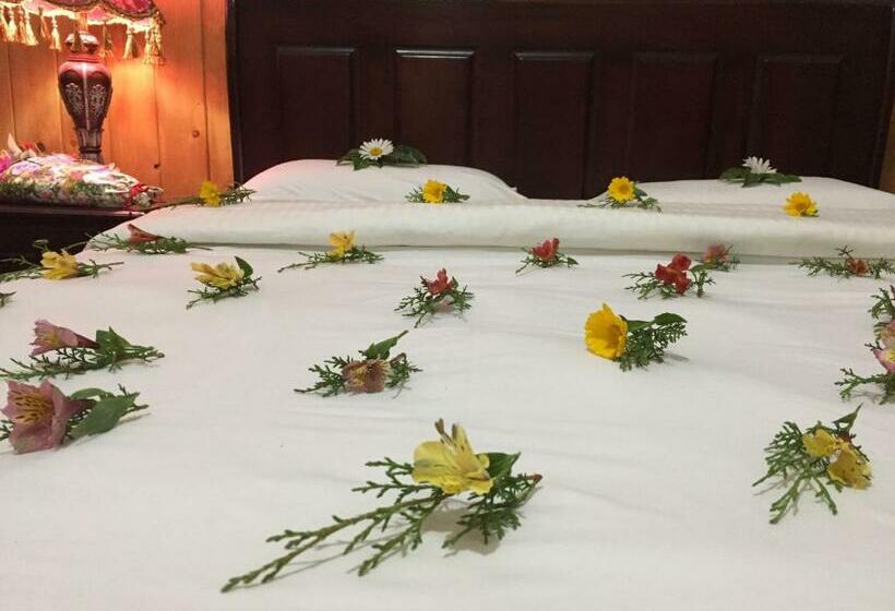 디럭스 룸, The Trevene