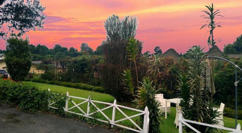 패밀리 룸, The Trevene