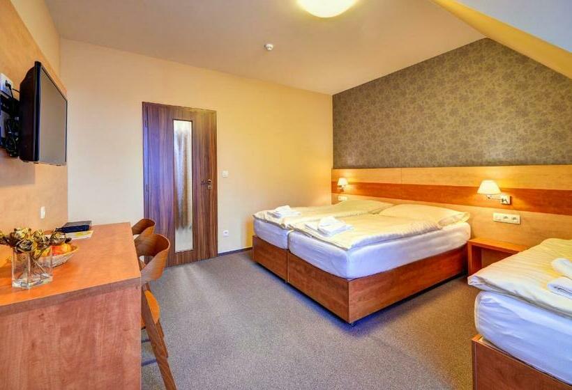 スタンダードトリプルルーム, Toč