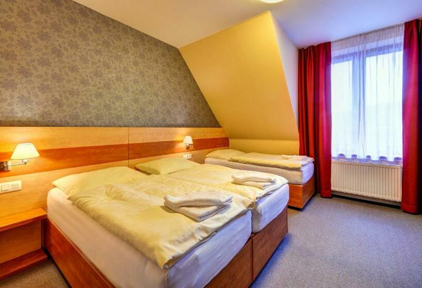 スタンダードトリプルルーム, Toč