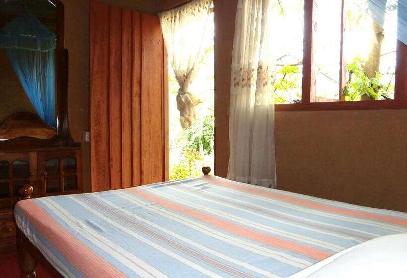 Хижина, Deniyaya National Backpackers Hostel