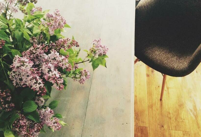 اتاق استاندارد, 2 Baloži