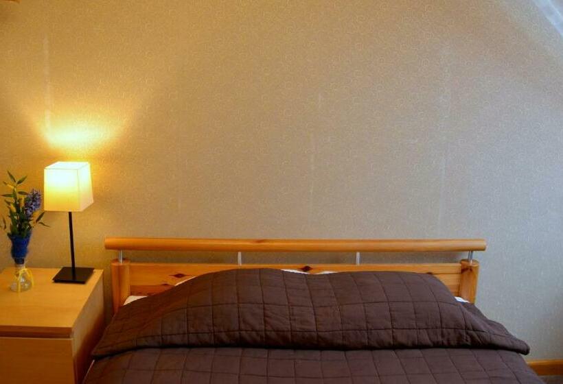 اتاق استاندارد یک نفره, Demians