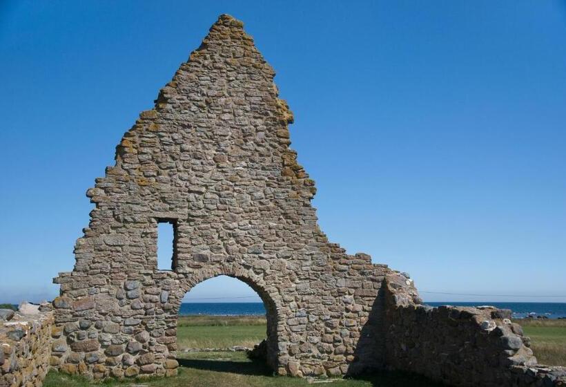 اتاق استاندارد, Demians