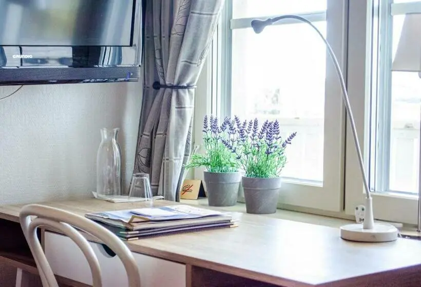 Standard Yhden Hengen Huone, Park Hotell