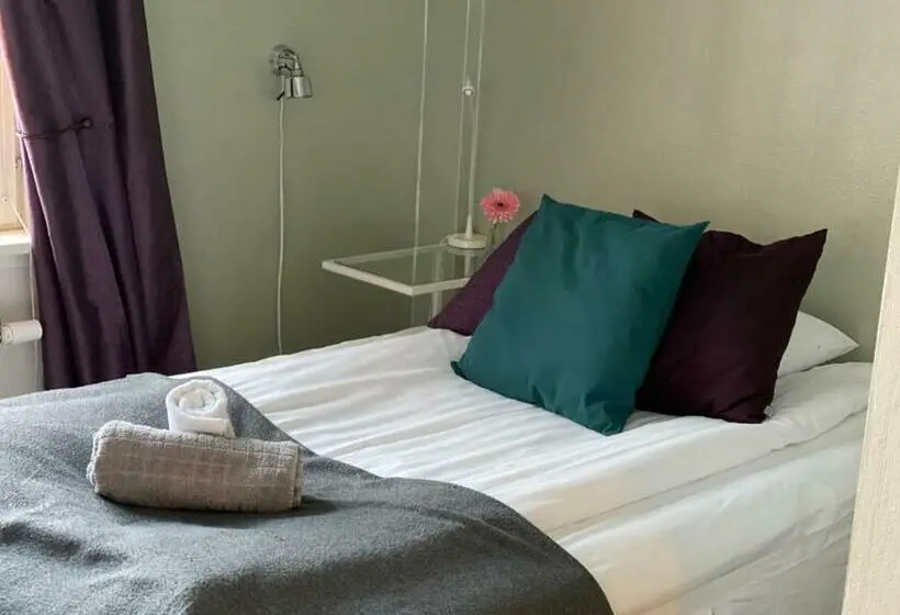 Standard Yhden Hengen Huone, Park Hotell