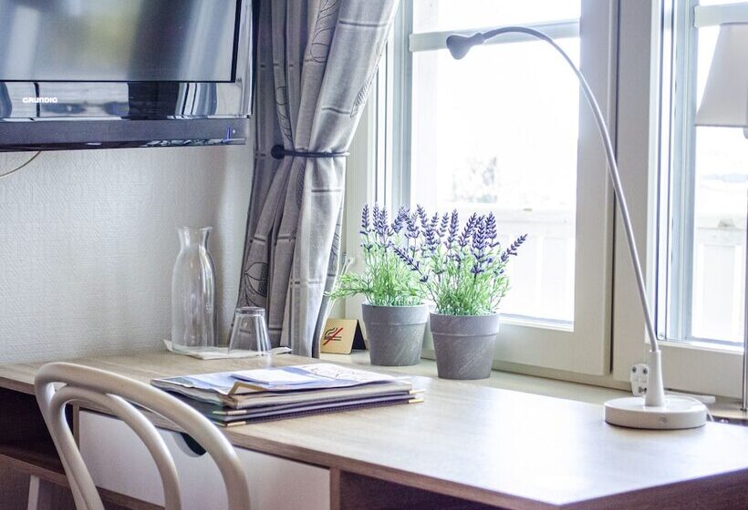 Номер Стандарт Индивидуальный, Park Hotell