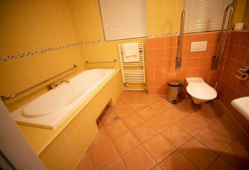 スタンダードルーム, Sport