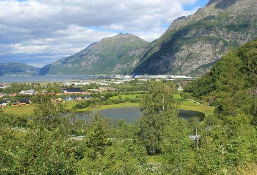 스탠다드 룸, Trædal