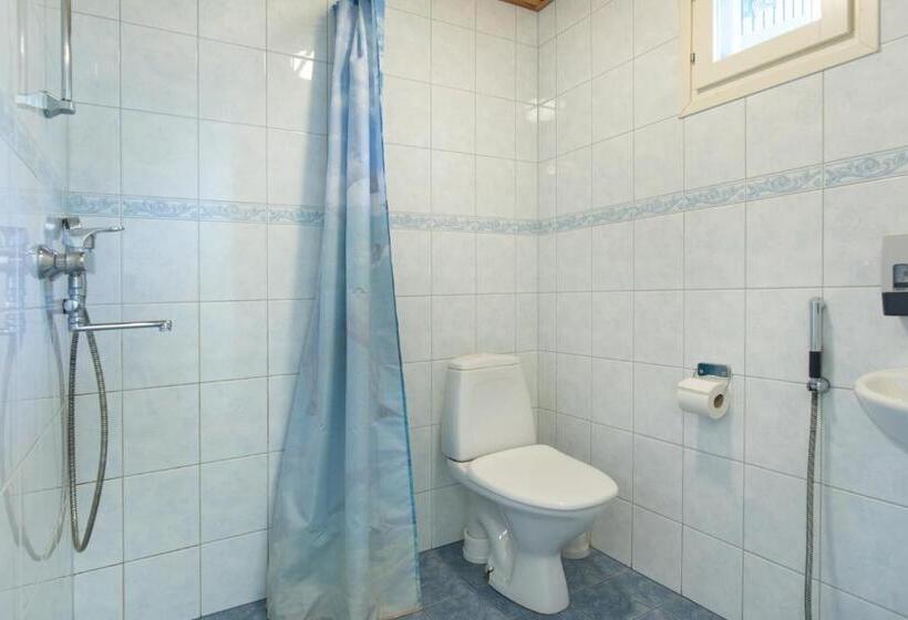 اتاق استاندارد با تراس, Villa Andropoff