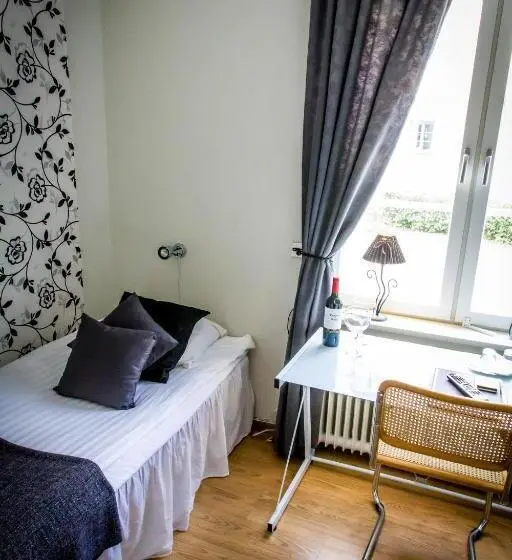 Economy Yhden Hengen Huone, Park Hotell