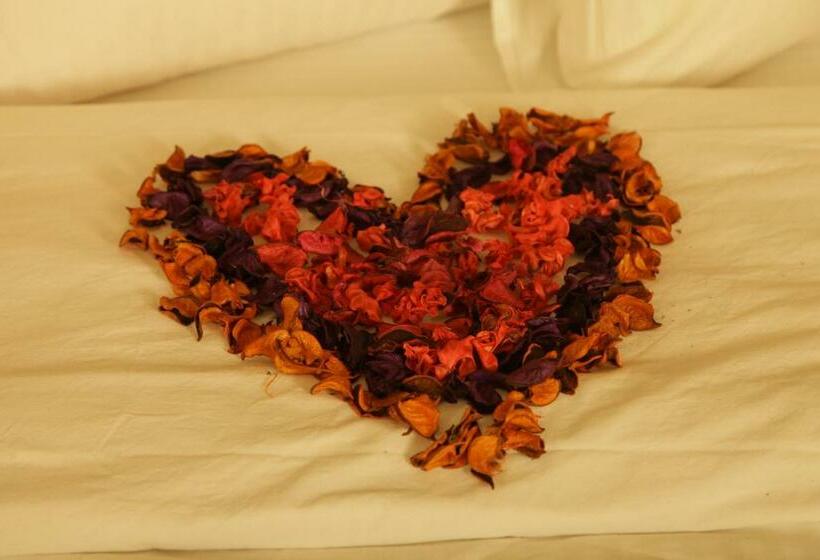 اتاق لوکس, Quaint Hotel Erbil