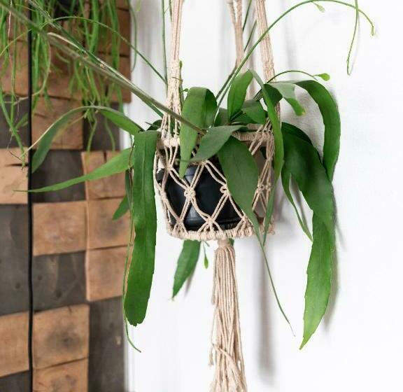 غرفة قياسية, Wolf Hotel Kitchen & Bar