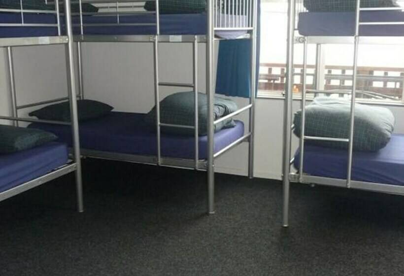 공동 객실, Mount Backpackers