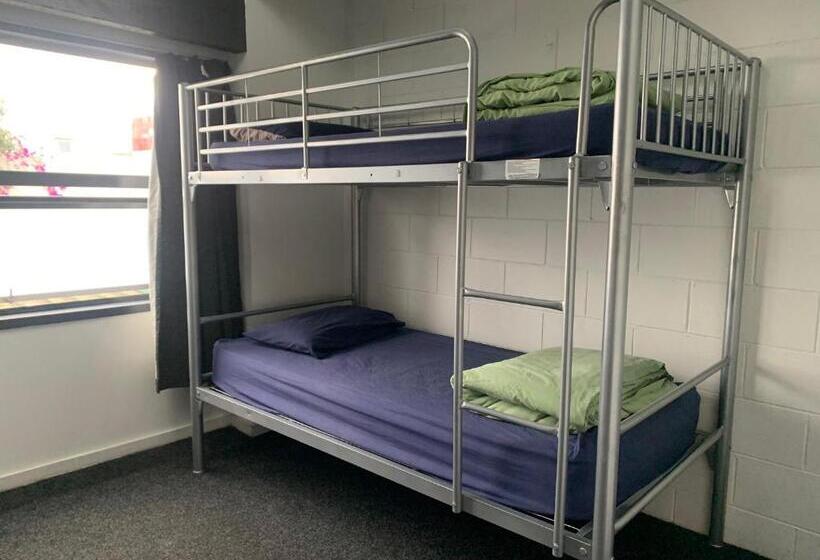 공동 객실, Mount Backpackers