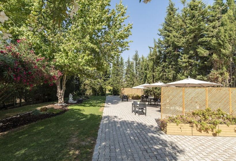 スタンダードルーム, Manta Guest