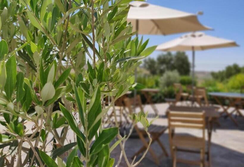 Студио Стандарт с Балконом, Pure Flor De Esteva