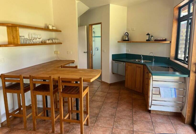 شقة غرفة واحدة مطلة على البحر, Summerspring Beachfront Accommodation