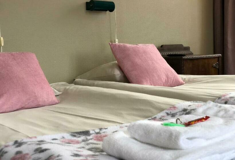 Номер Стандарт Совместная Ванная, Järnvägshotellet