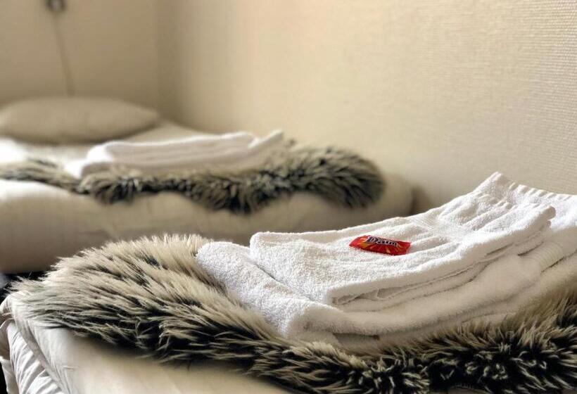 Номер Стандарт Четырехместный Совместный Санузел, Järnvägshotellet