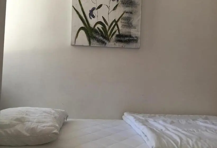 Basic-huone Jaettu Kylpyhuone, Linne Hostel