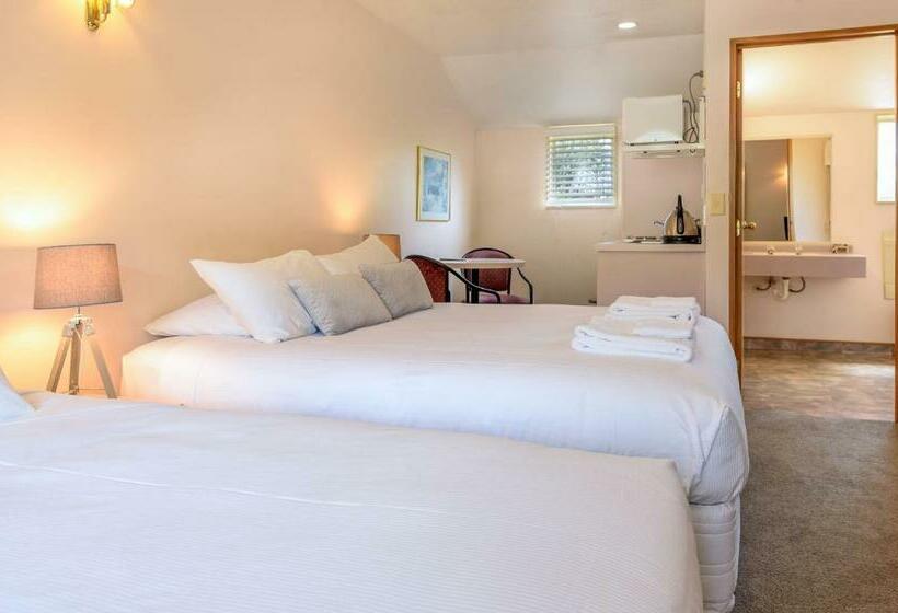 חדר סטודיו סטנדרד, Apex Motorlodge