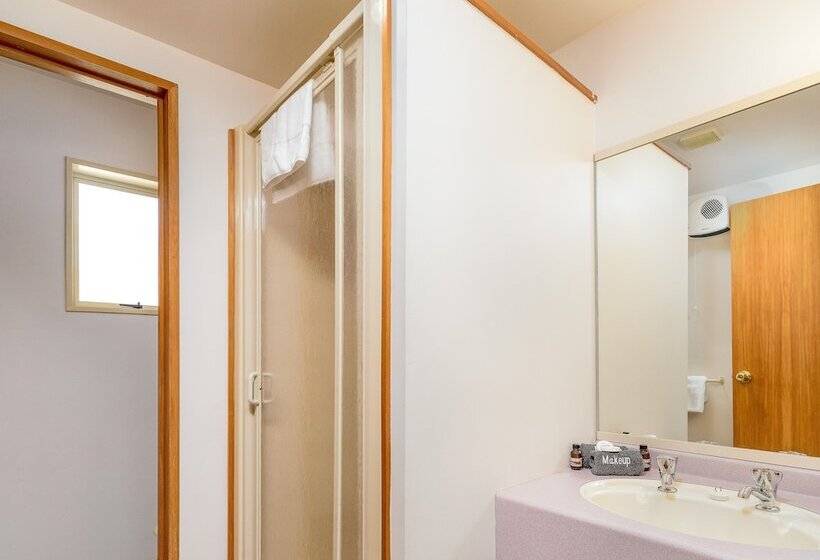 דירת חדר, Apex Motorlodge