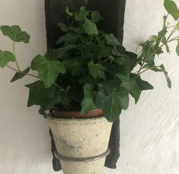 스탠다드 룸, Södergårda östra Bed & Breakfast