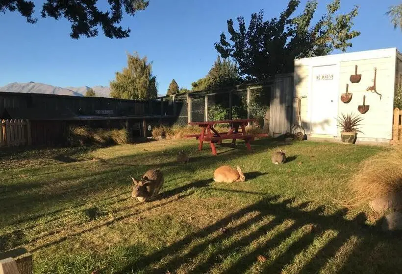 اتاق استاندارد چهارنفره با سرویس بهداشتی مشترک, Tailor Made Tekapo Accommodation Hostel