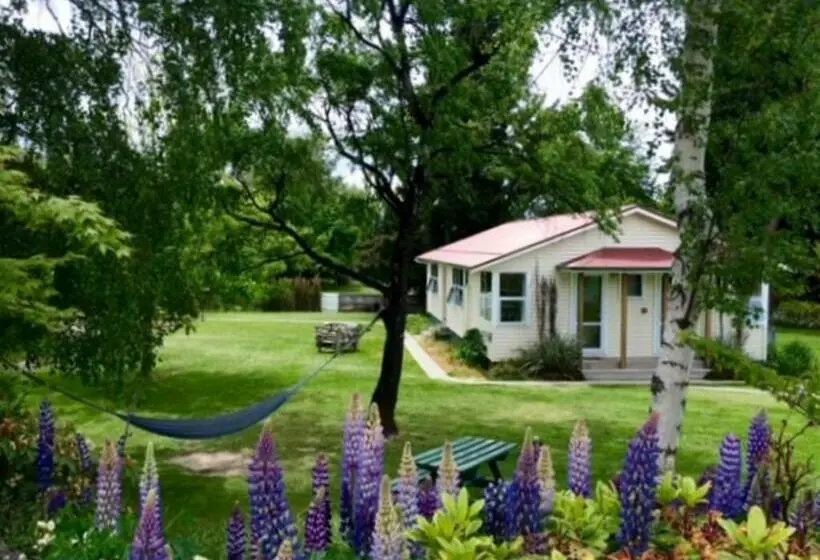 اتاق استاندارد با سرویس بهداشتی مشترک, Tailor Made Tekapo Accommodation Hostel