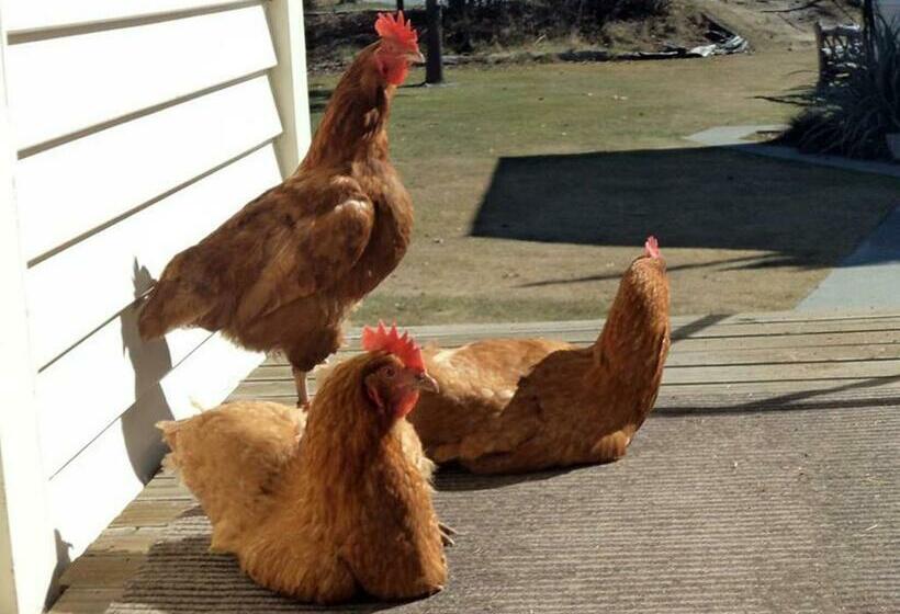 带共用浴室的标准房间, Tailor Made Tekapo Accommodation   Hostel