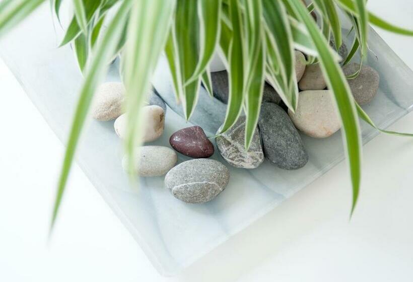 חדר סופריור, Maison Dubois