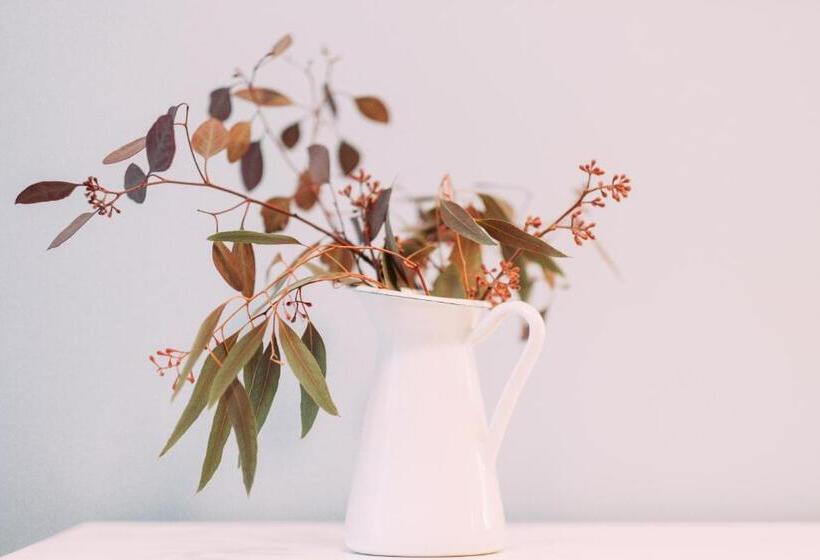 סוויטת ג'וניור עם טרסה, Adler Boutique