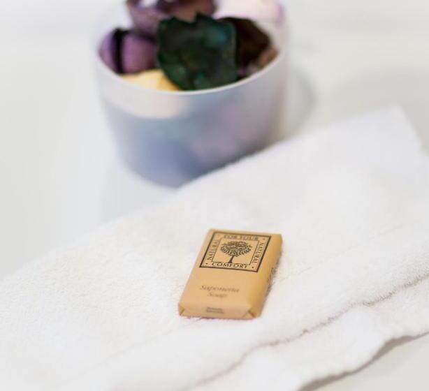 デラックスルーム, Al Ponte