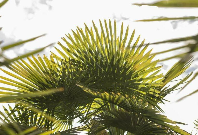 Номер Basic, Boutique Hotel Riviera