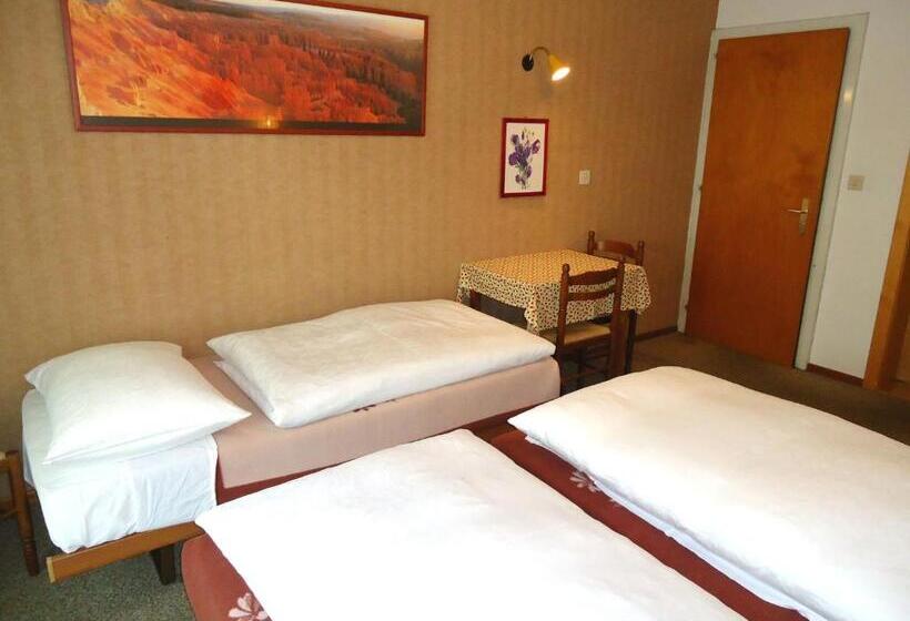 Номер Стандарт Трехместный, De L'union