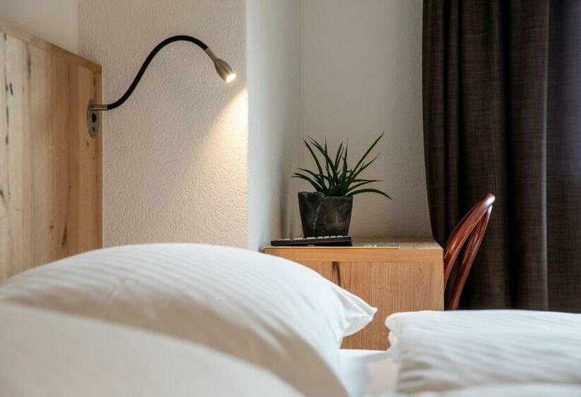 Номер Стандарт Трехместный, Meiringen