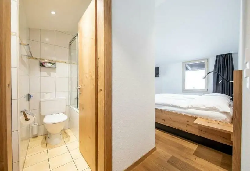 Standard-huone, Meiringen
