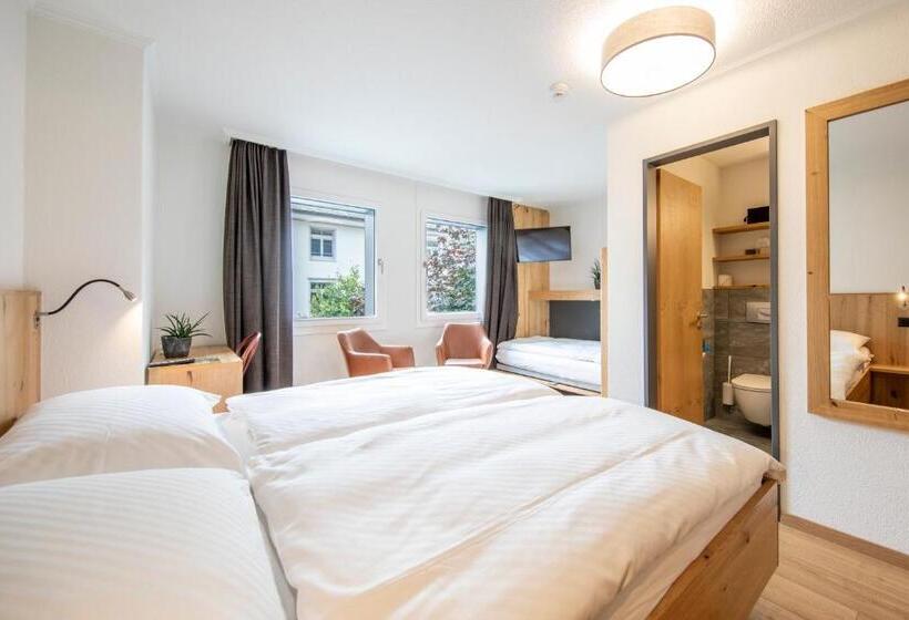 Номер Стандарт Трехместный, Meiringen