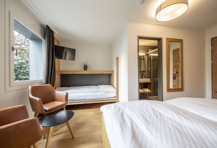 Номер Стандарт Трехместный, Meiringen