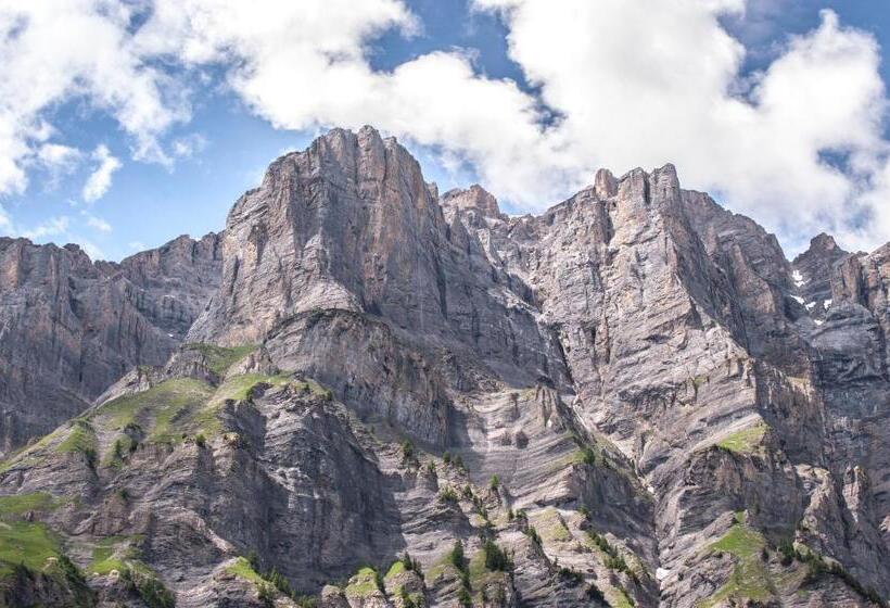 اتاق سوپریور با چشم‌انداز کوهستان, Restaurant Waldhaus