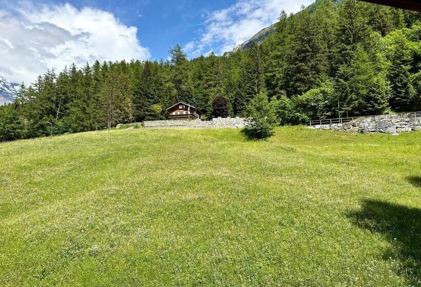 اتاق استاندارد سه تخته با چشمانداز باغ, Restaurant Waldhaus