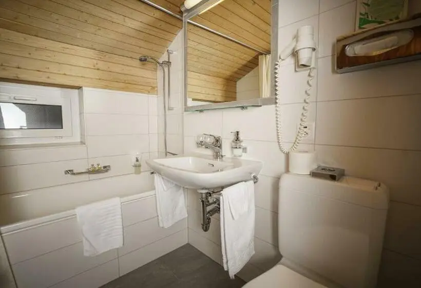Standardzimmer, Sarazena
