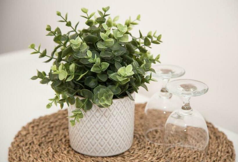 Номер Стандарт Вид на Море с Балконом, Veleiro