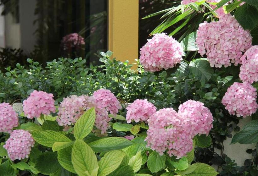 Одноместный Номер Вид на Сад, Veleiro