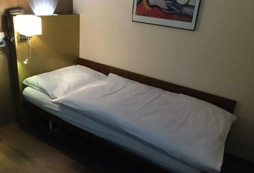 Standard Yhden Hengen Huone, Zys