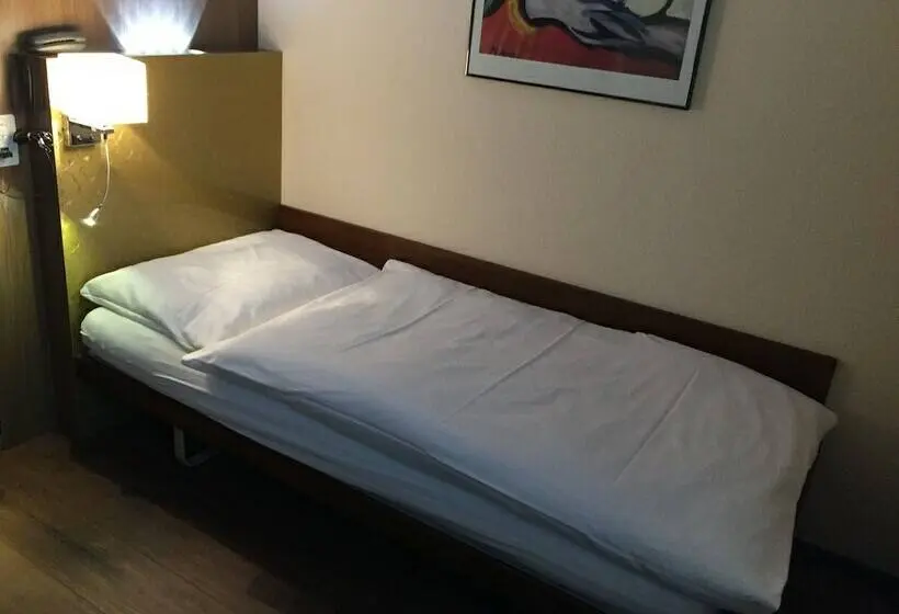 Standard Yhden Hengen Huone, Zys