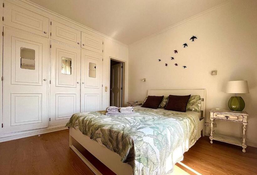 غرفة قياسية, Ljmonade Hostel