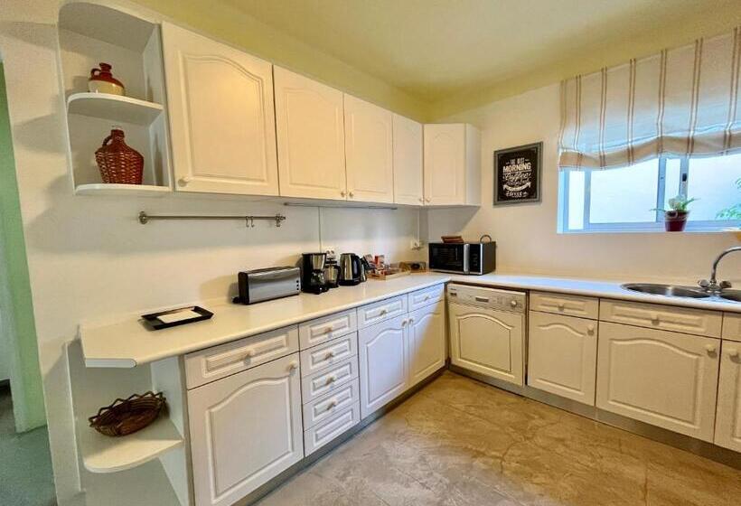 إستوديو قياسى, Ljmonade Hostel