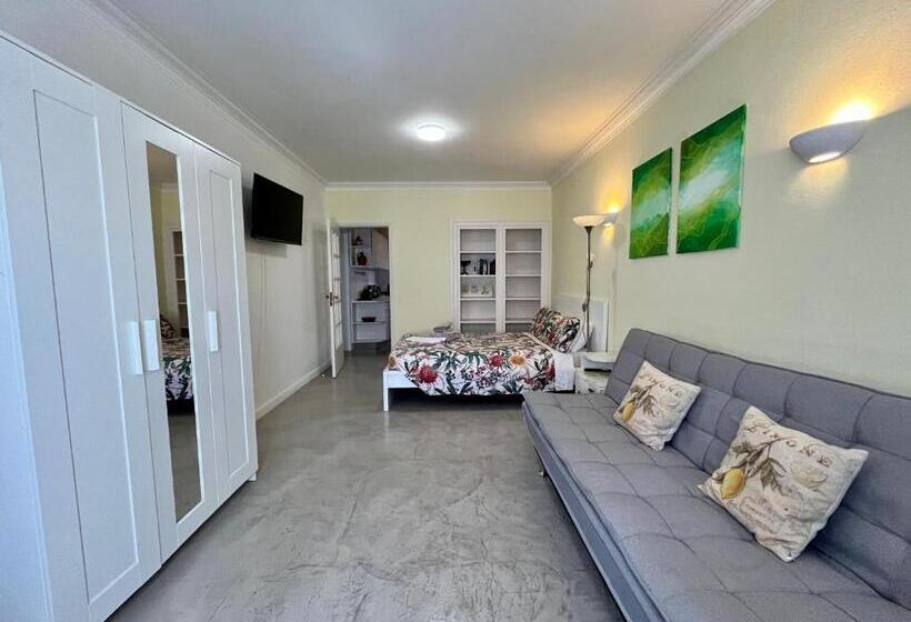 إستوديو قياسى, Ljmonade Hostel